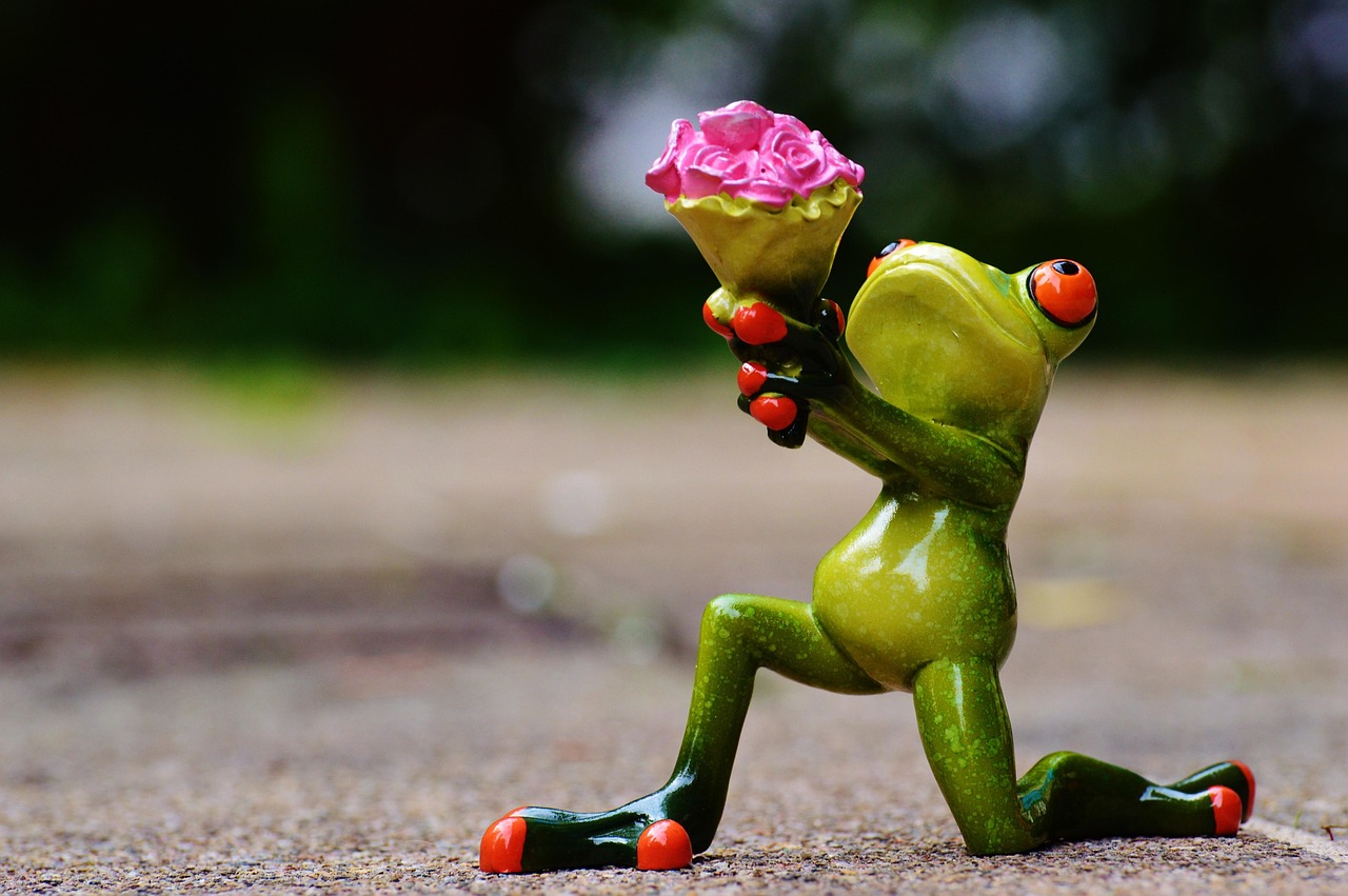 Master the Basics: Launching Your First WordPress Blog